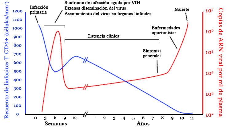 Hiv-timecourse-en